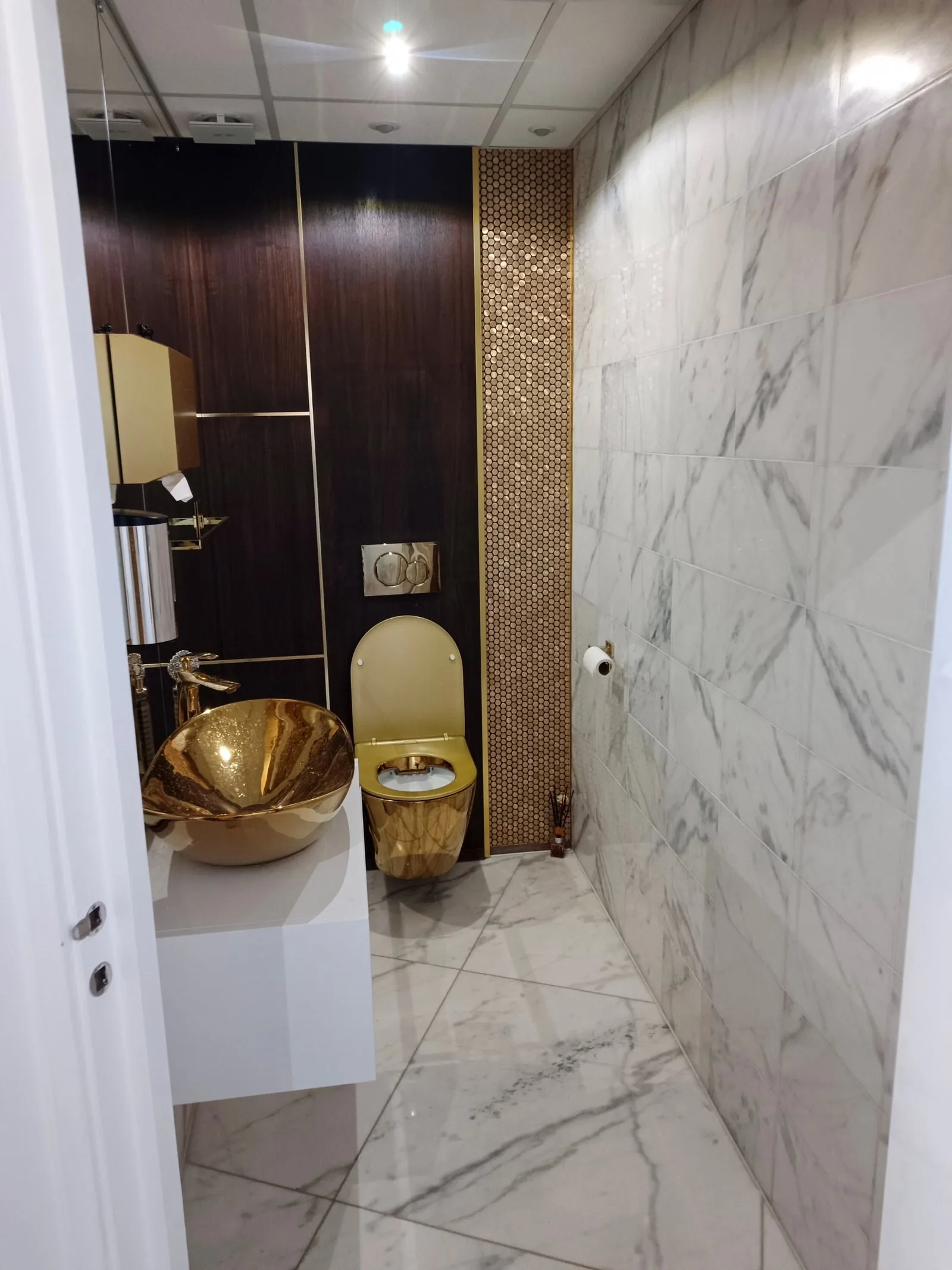 Finished clinic WC with marble walls, walnut panelling and recessed ceiling lighting, Poole BH14