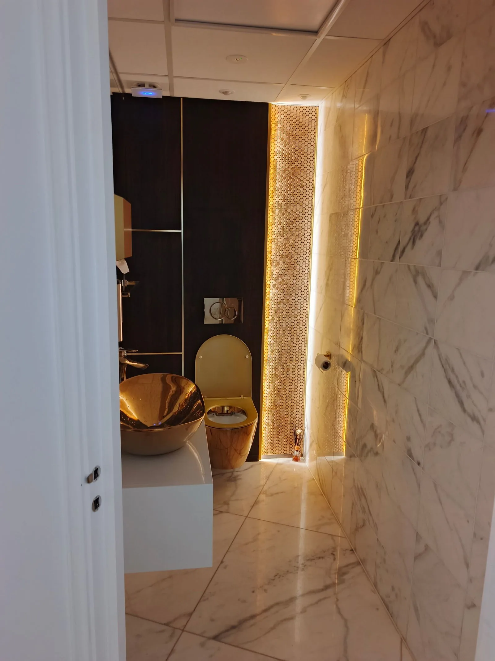 Recessed emergency downlight with green status LED in a clinic WC, Poole BH14